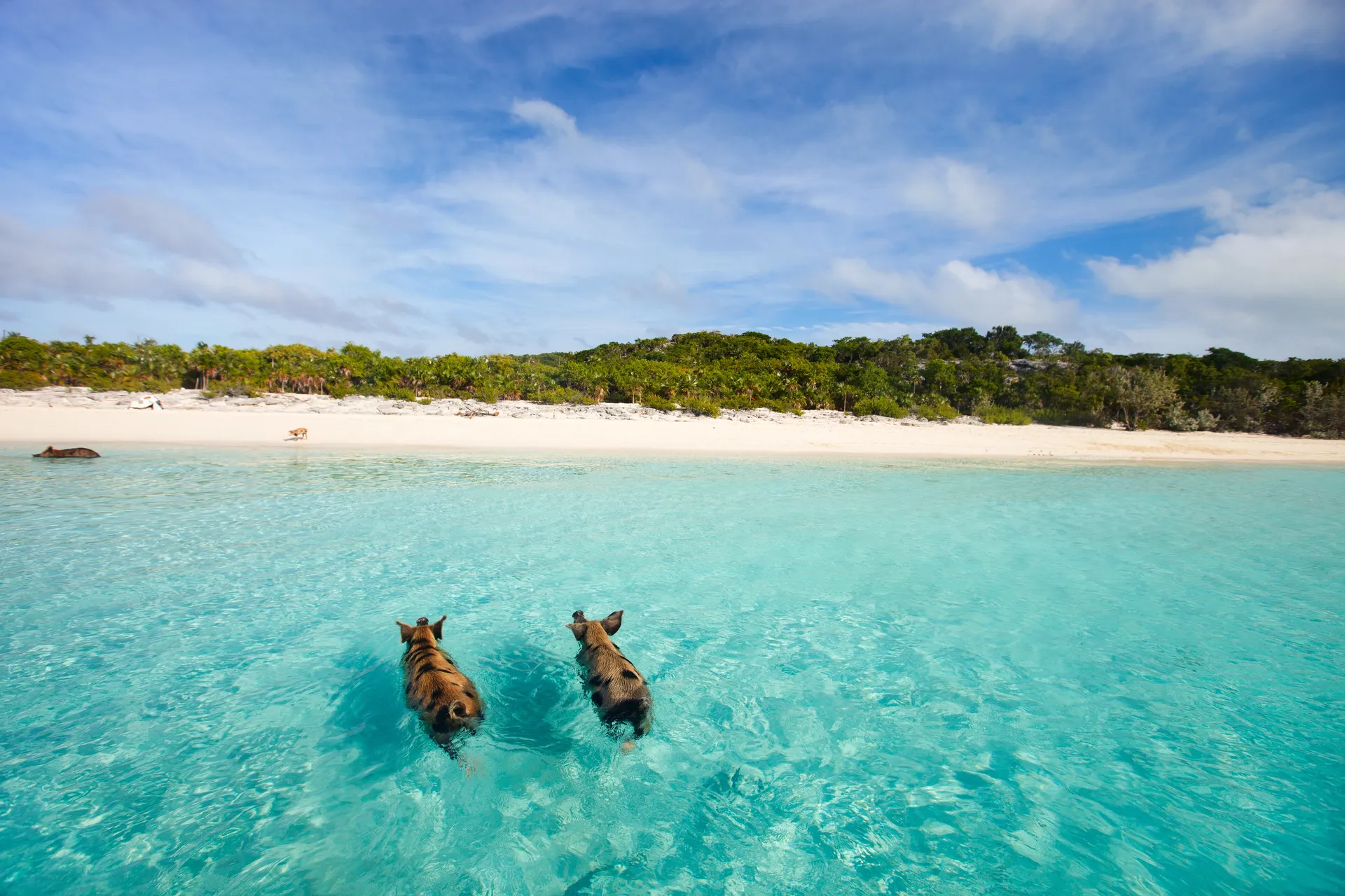 Bahamas 4